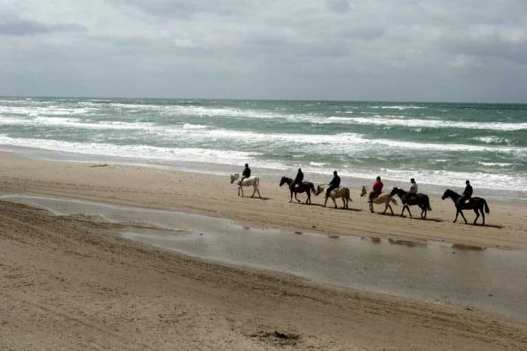 balade cheval mer baie de somme scaled