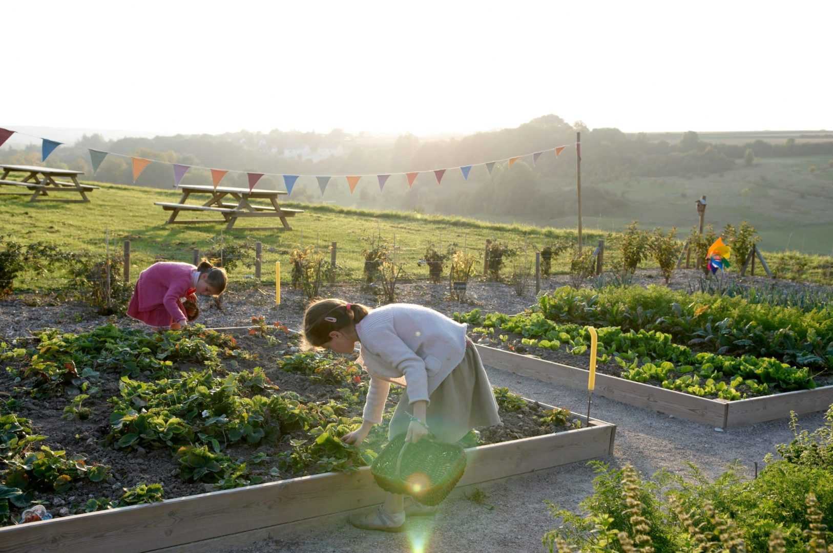 potager 2 chalet maison baie de somme scaled