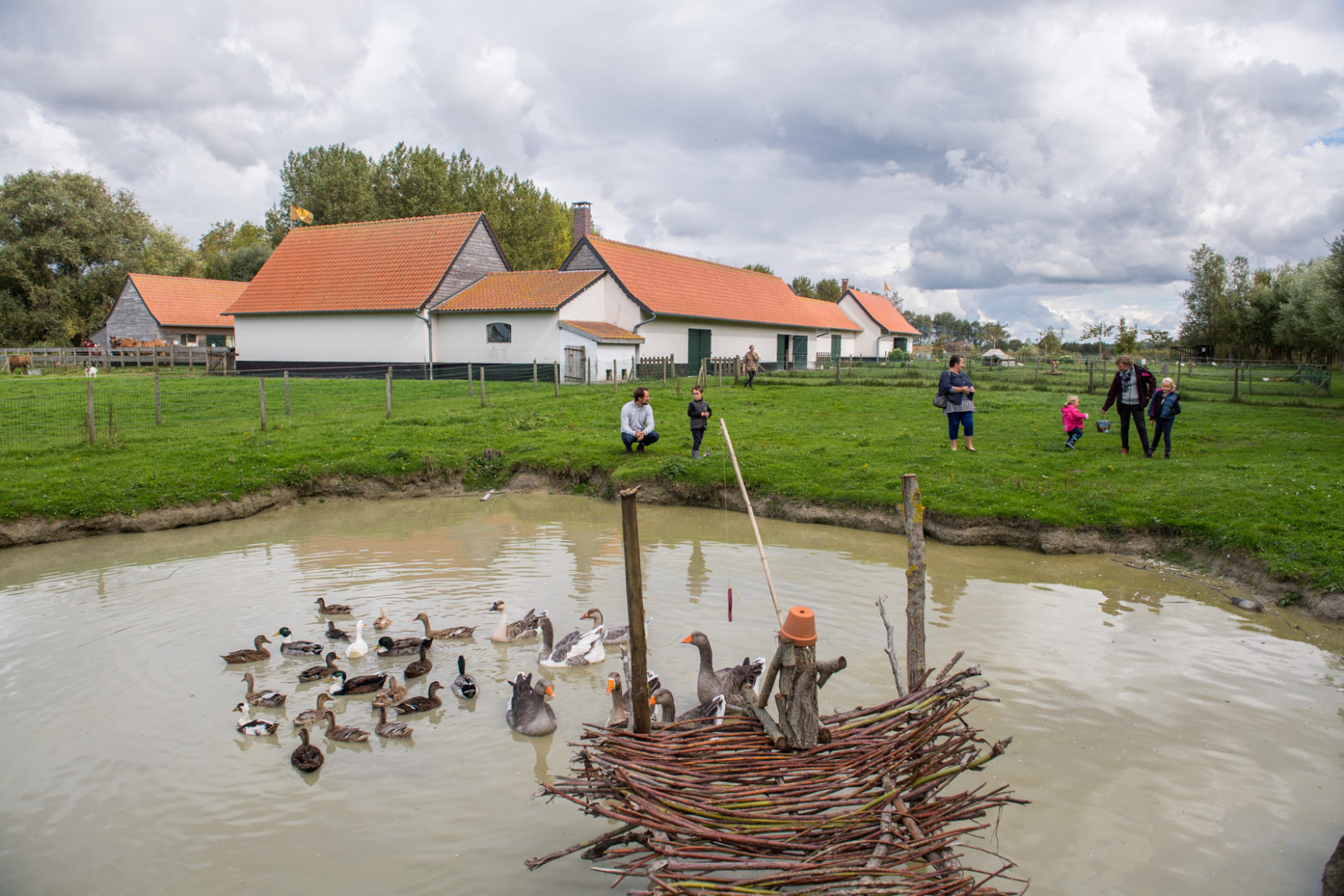 Mini Campus au Haras Henson   Ferme de Saint Jean les Rues