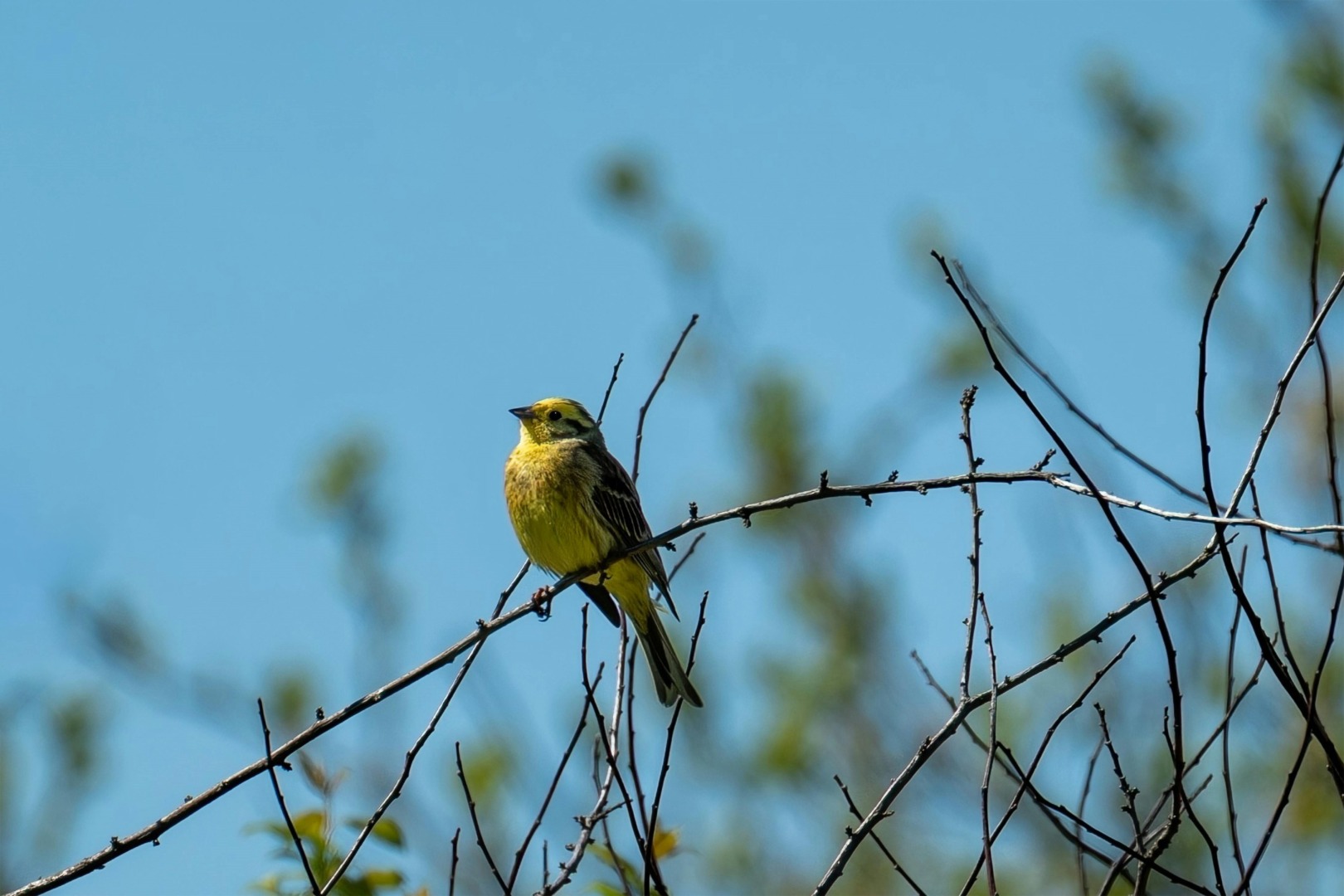 pexels guvo59 31817512